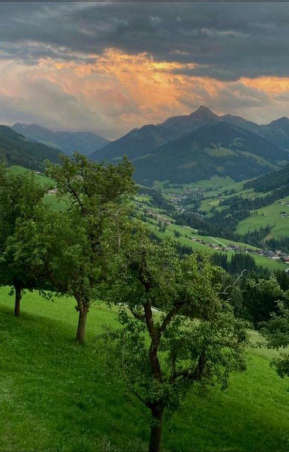 Ferienwohnung Haus Raimund  KLEIN aber FEIN Alpbach Exterior foto