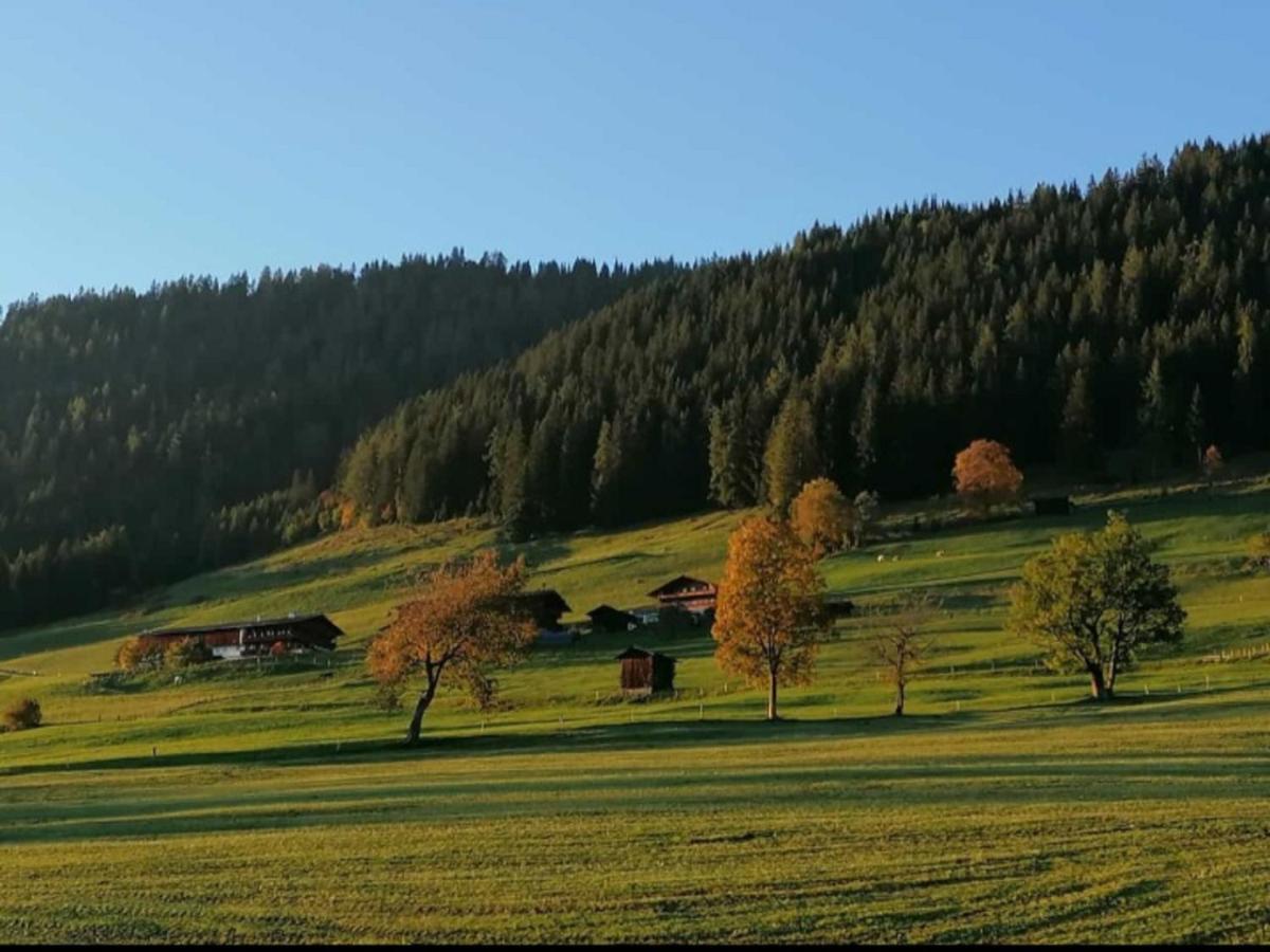 Ferienwohnung Haus Raimund  KLEIN aber FEIN Alpbach Exterior foto